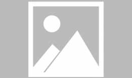 91flv点播直播,畅享视听盛宴，尽在指尖